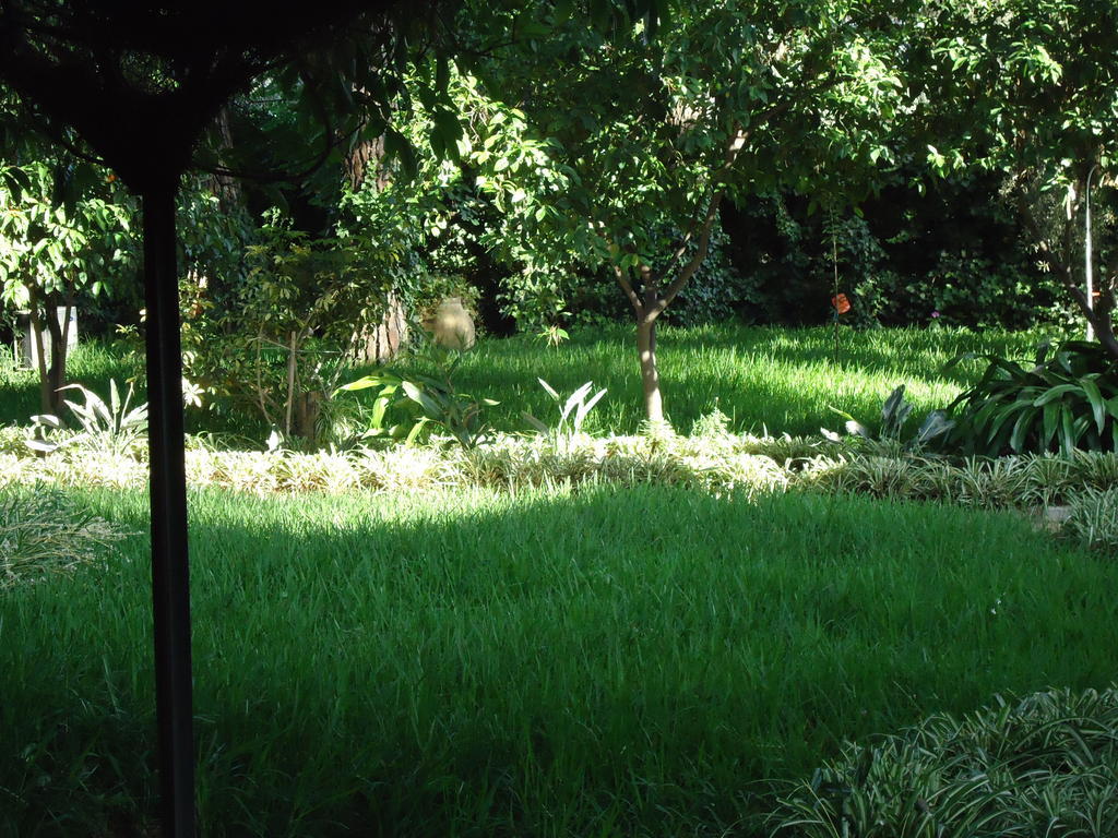 B&B Cottage Dei Consoli Sant'Agata Li Battiati ภายนอก รูปภาพ